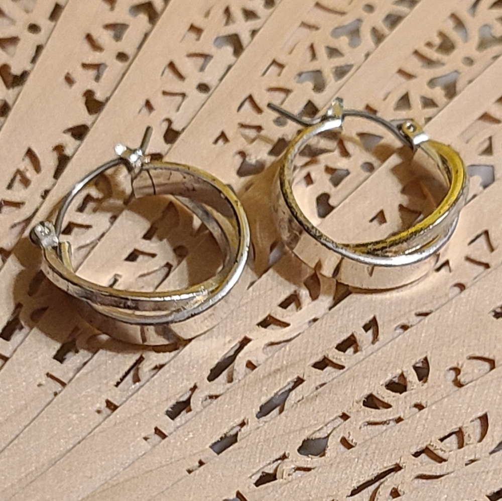 Elegant Hoop Earrings